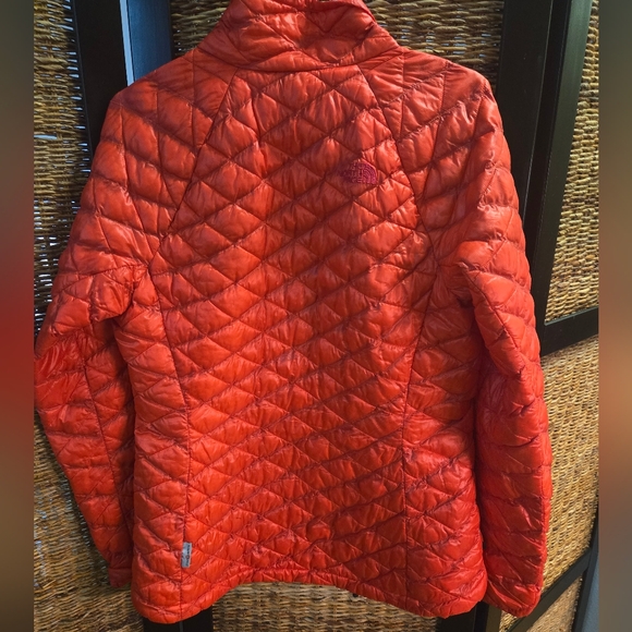 Quilted Down Nylon Jacket - Picture 4 of 4